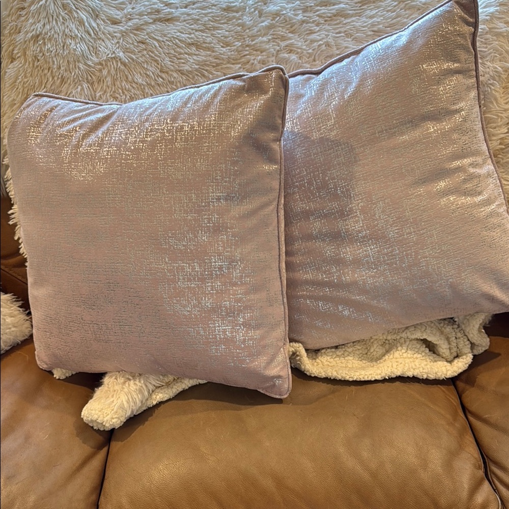 A pair of Shimmering Silver Throw Pillows